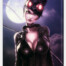 Catwoman (Toile)