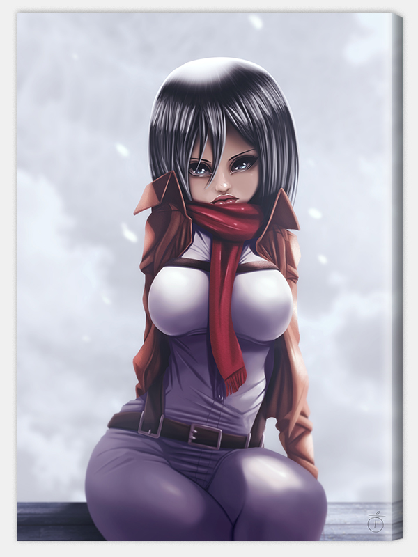 Mikasa (Toile)
